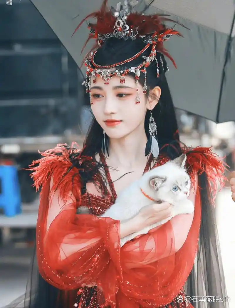 鞠婧祎抱猫照片,喜欢猫抱着的那个女孩.