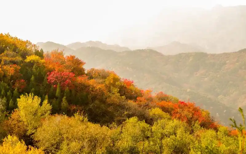 长城秋季美景摄影图片桌面壁纸,风景壁纸,高清,唯美风景,长城,秋季