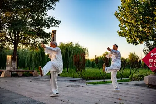 临沂凤凰广场杨式太极拳练的火 - 美篇