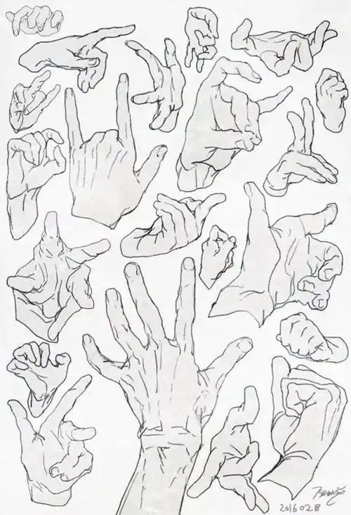 手部手臂头部绘画素材浏览量 : 1151