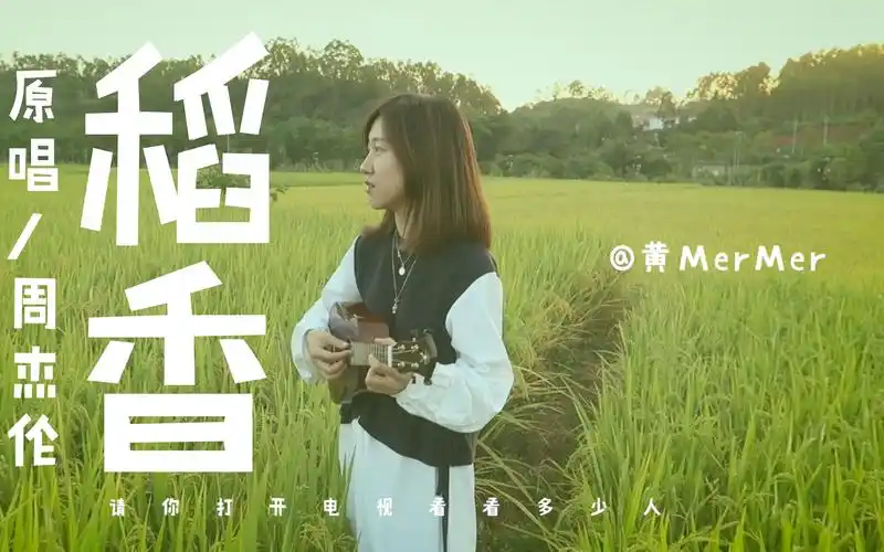 【黄mermer】《稻香》周杰伦 尤克里里ukulele弹唱 乌克丽丽小吉他