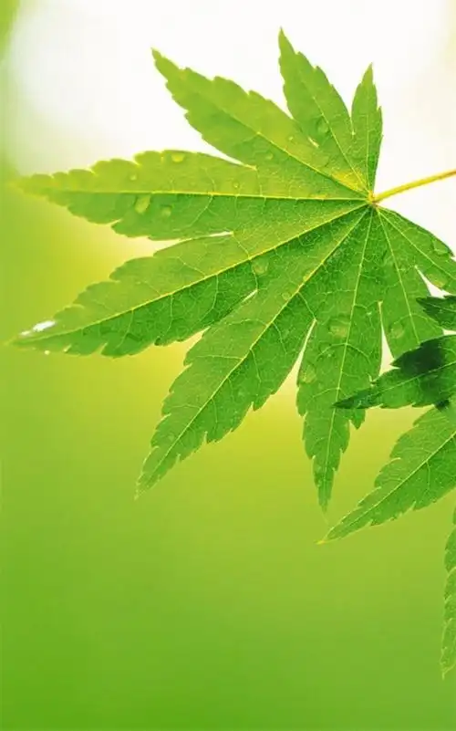 1000_1602竖版 竖屏