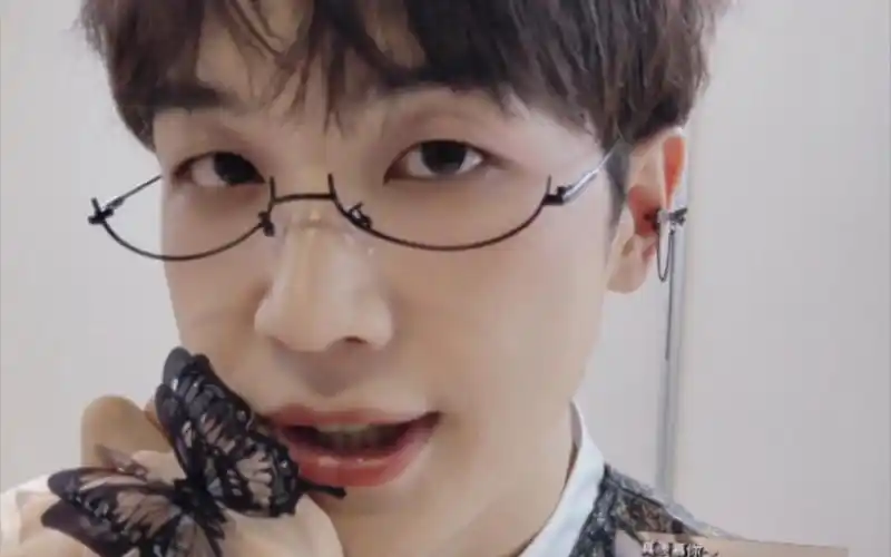 论倒霉死勒和猫猫表情包的适配度