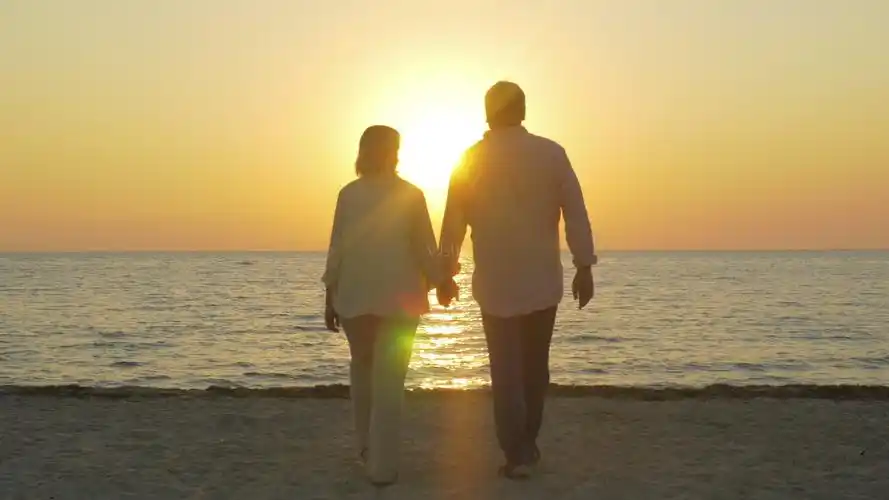 十六字令家词林正韵