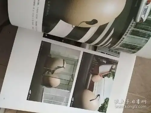 2006年度北京经典广告作品文集