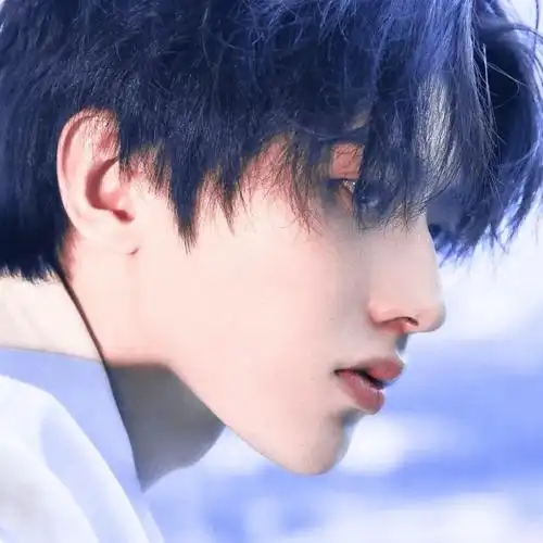 蔡徐坤头像 - 高清图片,堆糖,美图壁纸兴趣社区