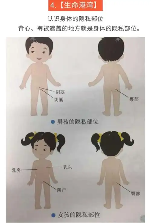 ④隐私部位要保护好