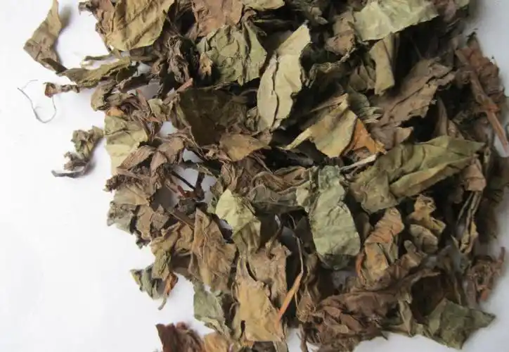 诚信商家 品质保障 批发中药 中药材 中药饮片 鱼腥草