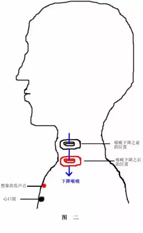 歌唱的三要素头腔共鸣打开喉咙和气息支持