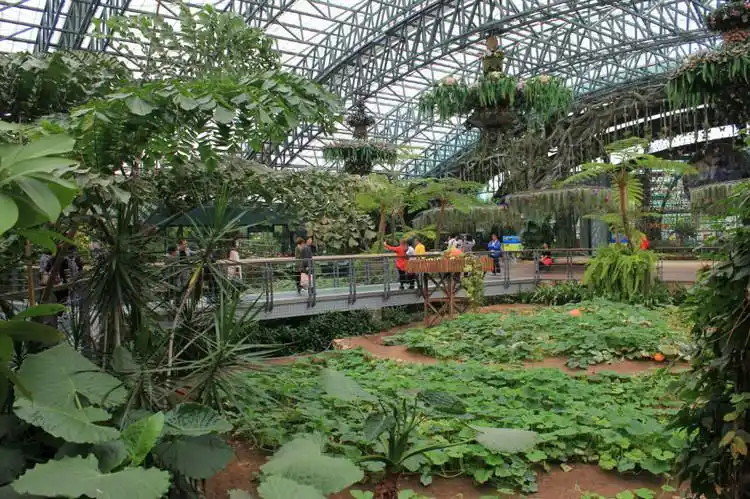 深圳东部华侨城之二:四季植物馆(摄影)
