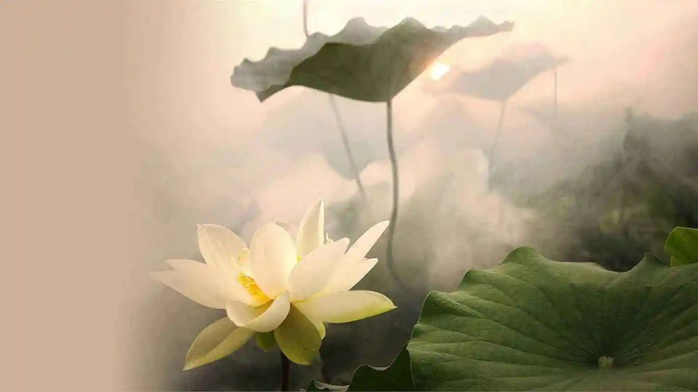 郁莉为你讲古诗