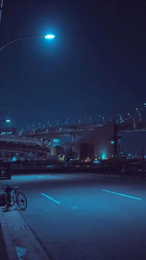 抖音很火的猫壁纸抖音网红星狗壁纸