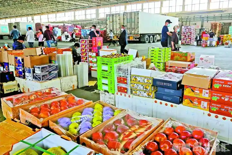 新疆九鼎农产品批发交易市场日销5500吨果蔬丰富百姓餐桌