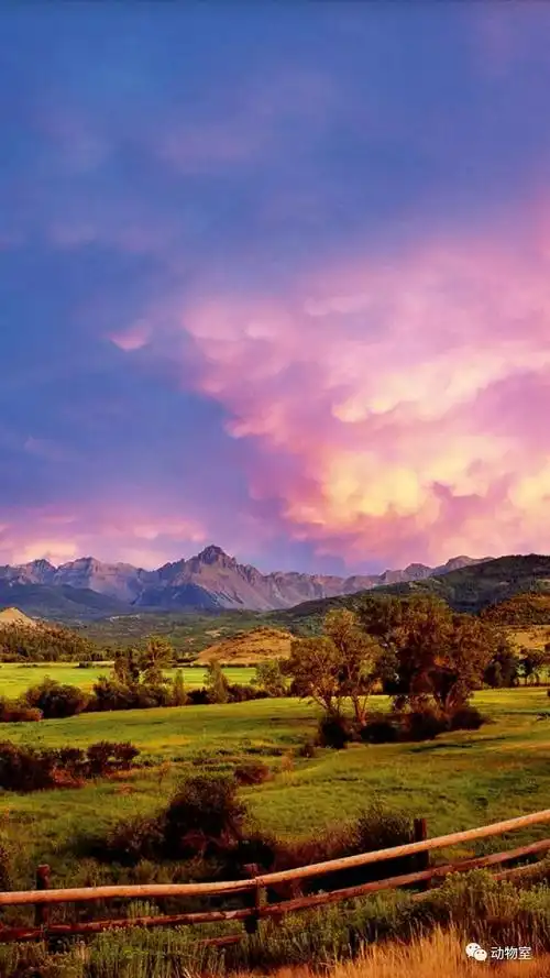 最新的美丽迷人的手机风景壁纸,你喜欢吗?