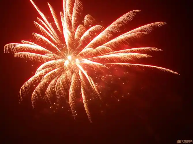 【大河拍客第52期】正月十五的焰火