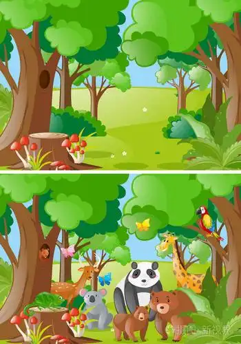 森林与野生动物的场面