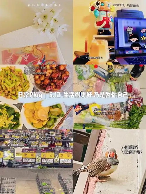 日常plog生活得更好乃是为你自己