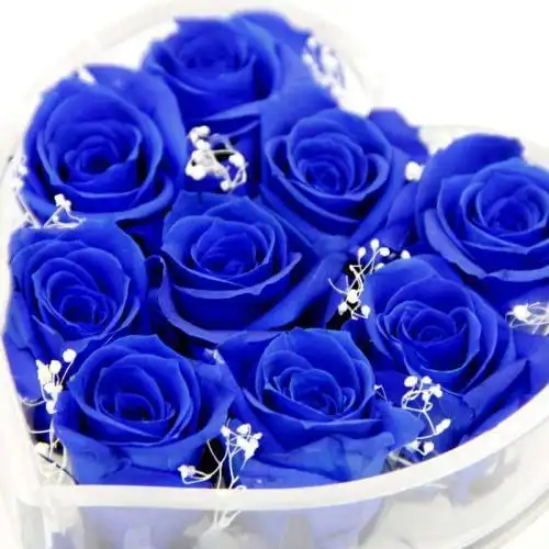 蓝玫瑰做头像是什么意思