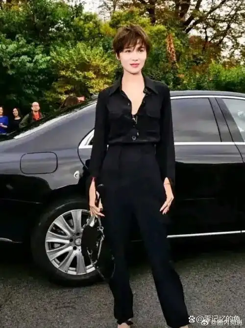 宋佳这个短发造型真好看.