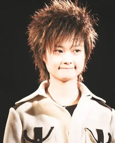 06年李宇春发型