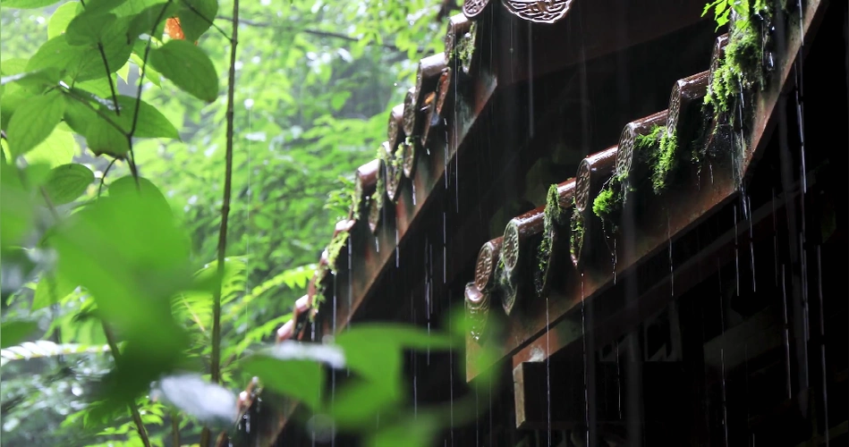 屋檐下雨雨滴意境视频素材
