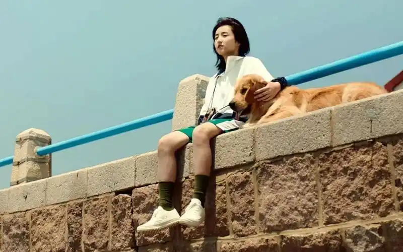 宠爱张子枫吴磊我会像保护眼睛一样保护你