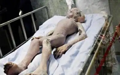 外星人十大惊人的特征 真相如此可怕