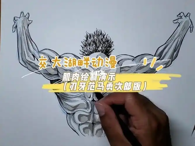 动漫原画背部肌肉绘制演示范马勇次郎