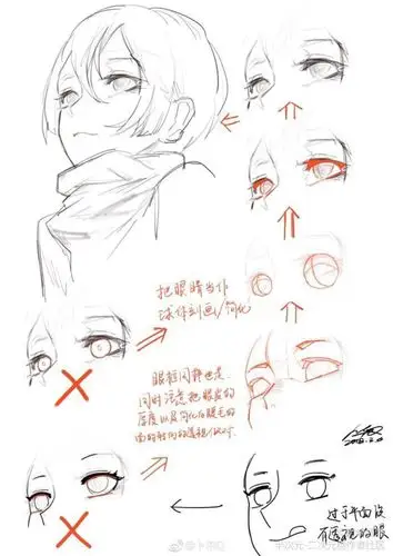 教程 素材(侵删)