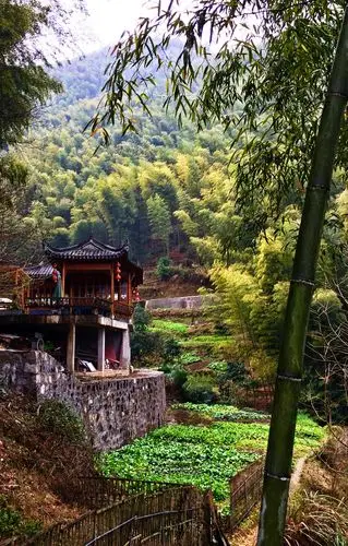 木坑竹海——《卧虎藏龙》拍摄地