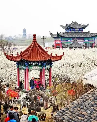 4月20日开始这里将成为莱阳最美的地方