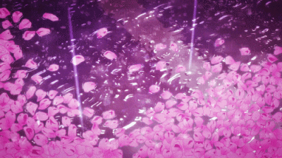 视频- 堆糖,美图壁纸兴趣社区