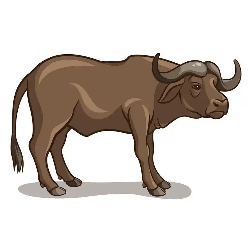 水牛,矢量图的孤立的白色背景上的野牛
