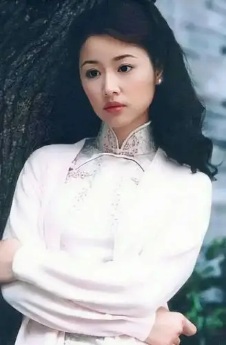 林心如穿旗袍非常的有韵味,林心如的气质本来就是温婉甜美,高挑的身材