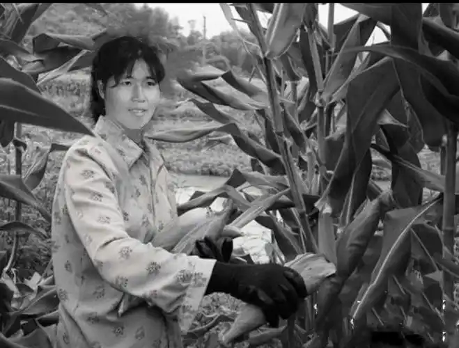 七十年代蹉跎岁月中的生活照