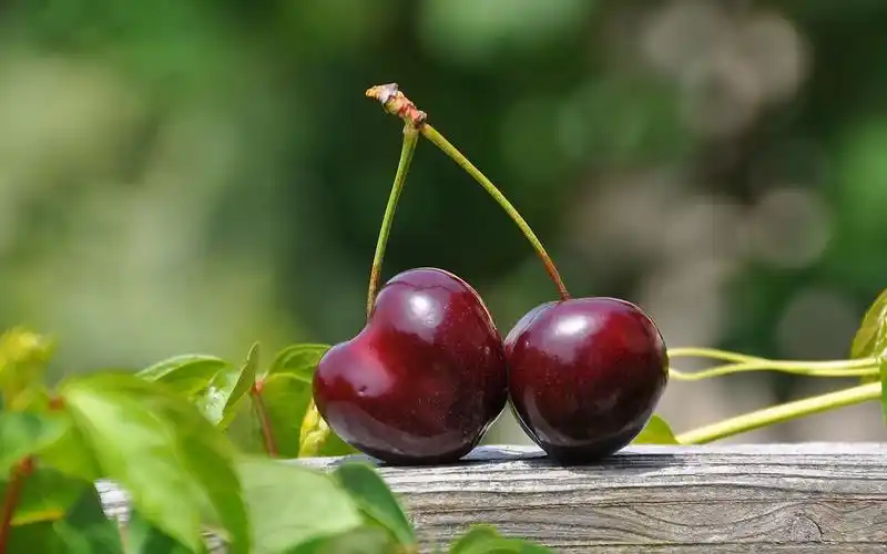 水果图片夏日清新水果高清壁纸
