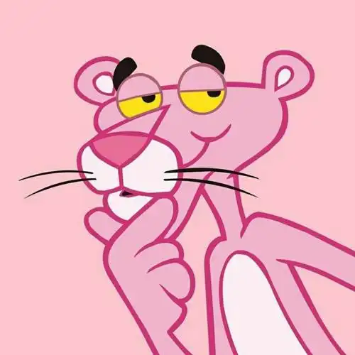 收破烂的粉红豹