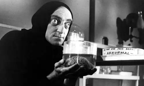 标本制作器官保存防腐妙招科幻小说科学怪人教你diy一个怪物