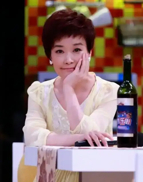 回顾主持人王雪纯:我这辈子遗憾的事情,就是没给丈夫生个孩子