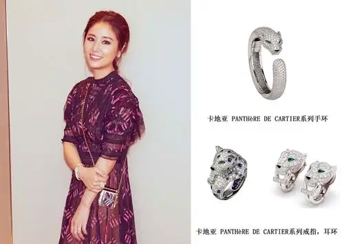 林心如薄纱红黑长裙仙气足 佩戴卡地亚全钻珠宝优雅气质尽显