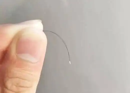 掉的头发根部有小白点,是不是毛囊掉出来了,还能长出头发吗?