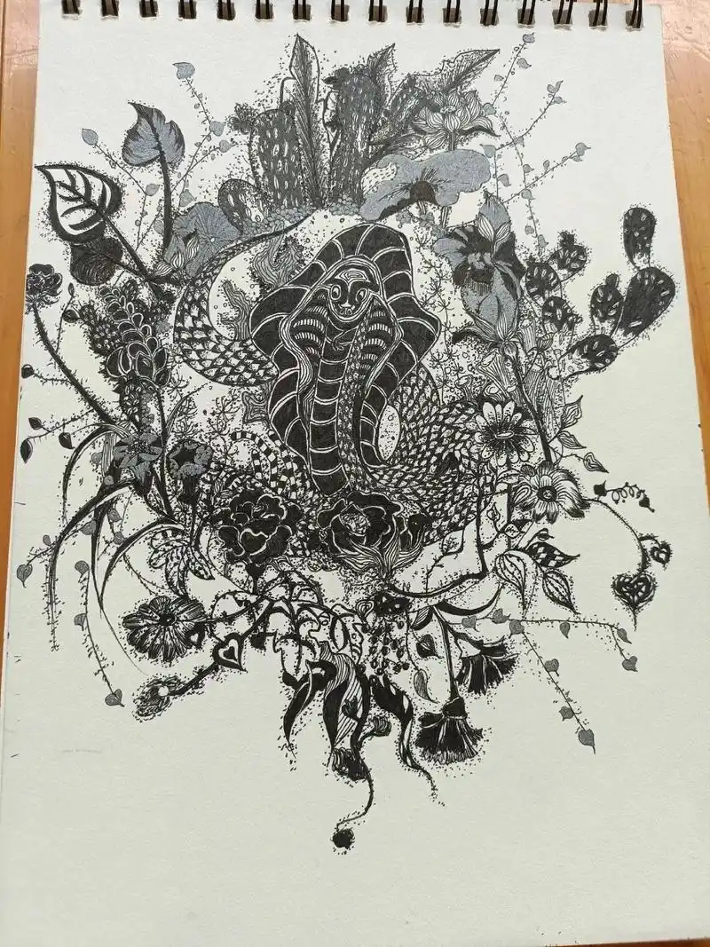 一起画画吧 #点线面黑白装饰画 三副作品一个学期的成果 - 抖音