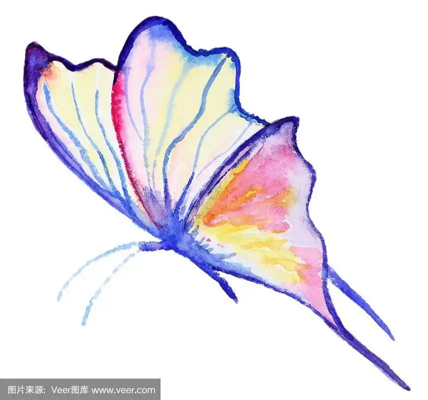 抽象水彩手绘蝴蝶