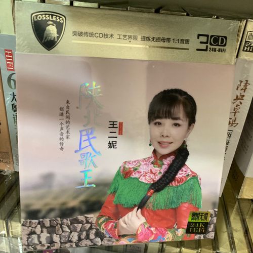 正版车载cd 王二妮专辑 汽车载无损音乐歌碟 精装3cd
