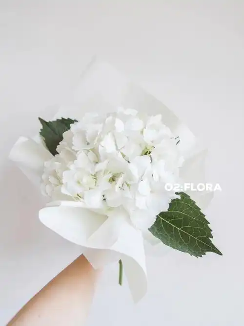 绣球季自己也能动手做的单支白绣球花束