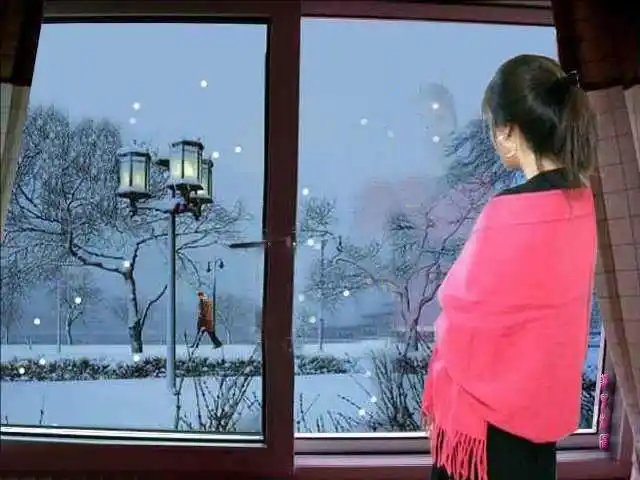 于是,我推开窗户,冷风一阵阵袭来,在这寒风肆虐气候干燥的北方,我却