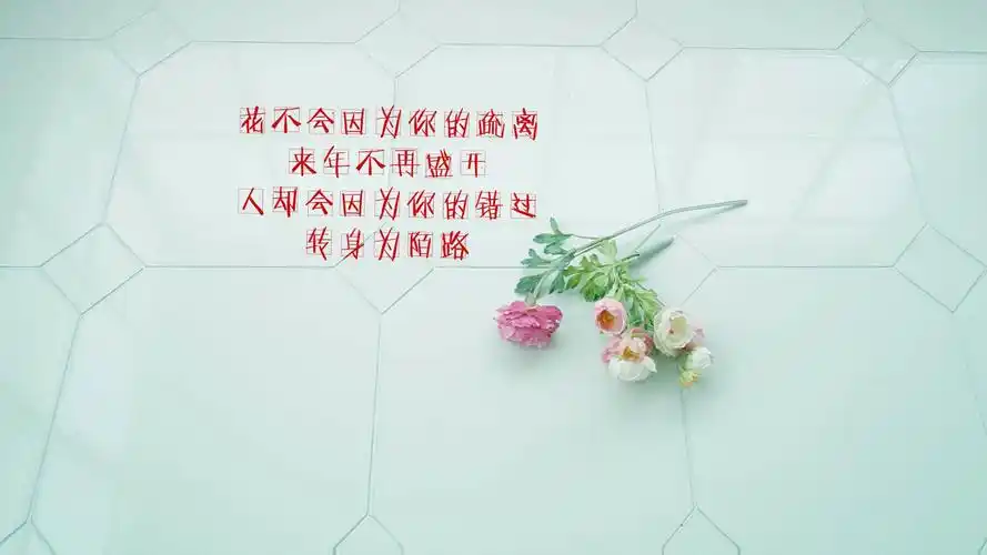 转身为陌路壁纸
