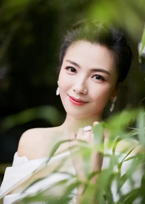 刘涛单边浮云袖礼服