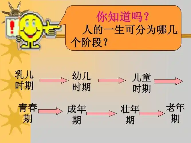 人的一生可分为哪几 个阶段?