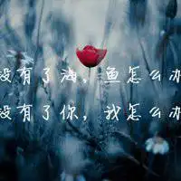 带字的风景头像 唯美风景带字的头像高清图片_微信头像图片大全